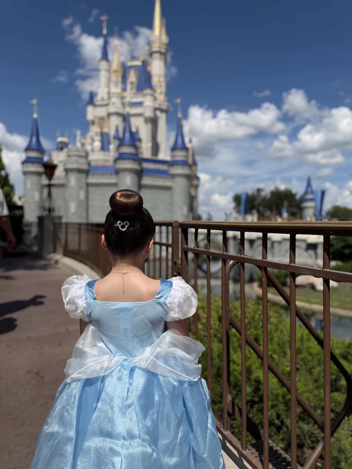 Izzy in her princess dress in front of Cinderella Castle