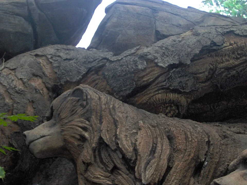 Animal carvings seen close up on the Tree of Life at Disney’s Animal Kingdom