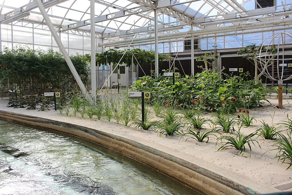 Plants and the boat channel inside the Living with the Land greenhouse at EPCOT