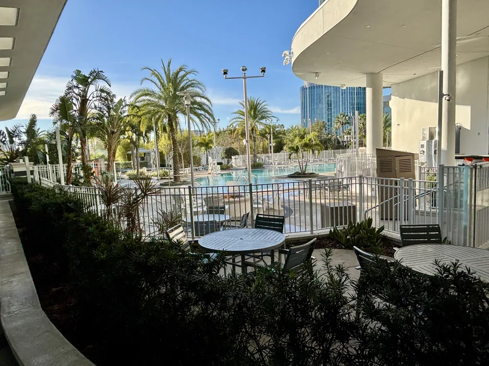 Palm trees and seating beside the swimming pool at Universal Aventura Hotel.